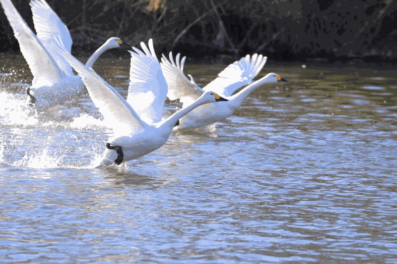 Photo contest - call for Submissions