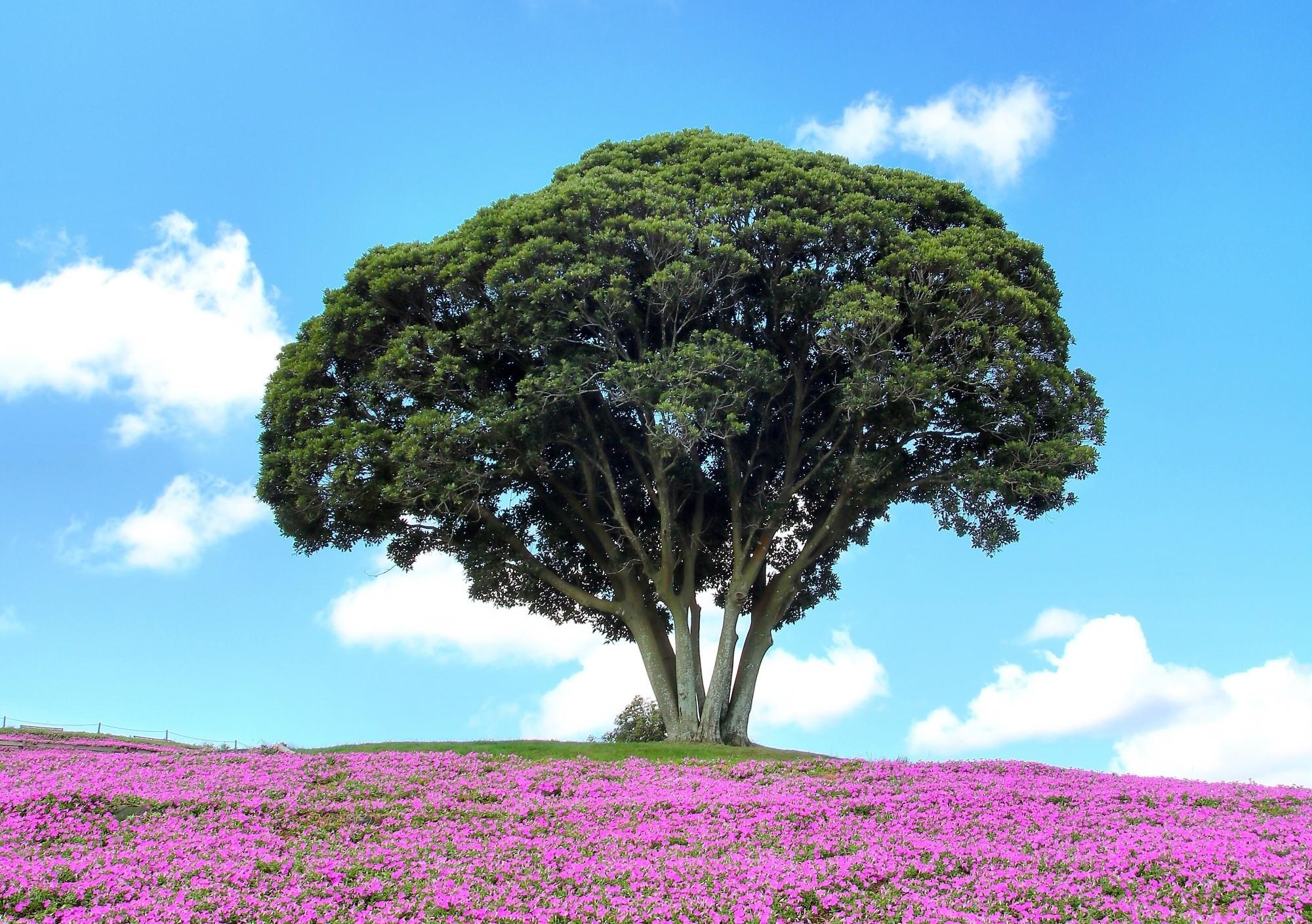 Photo Contest - the Results