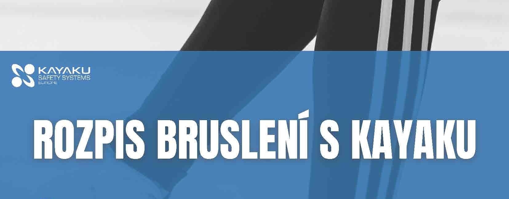 Ice skating with Kayaku in 2025